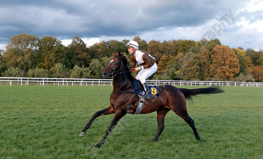 Giuseppe-Piazzi-0001 
 GIUSEPPE PIAZZI (Oliver Wilson)
Bro Park, Sweden 23 Sep 2018 - Pic Steven Cargill / Racingfotos.com