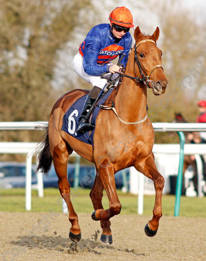 Golden-Slumbers-0001 
 GOLDEN SLUMBERS (Eoin Walsh)
Lingfield 18 Dec 2019 - Pic Steven Cargill / Racingfotos.com