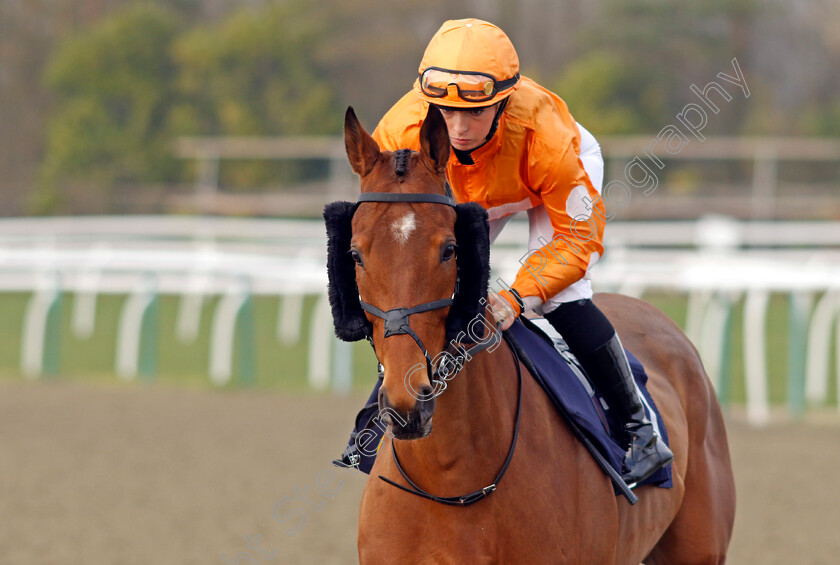 Further-Measure-0001 
 FURTHER MEASURE (Chloe Lyons)
Lingfield 7 Mar 2024 - Pic Steven Cargill / Racingfotos.com