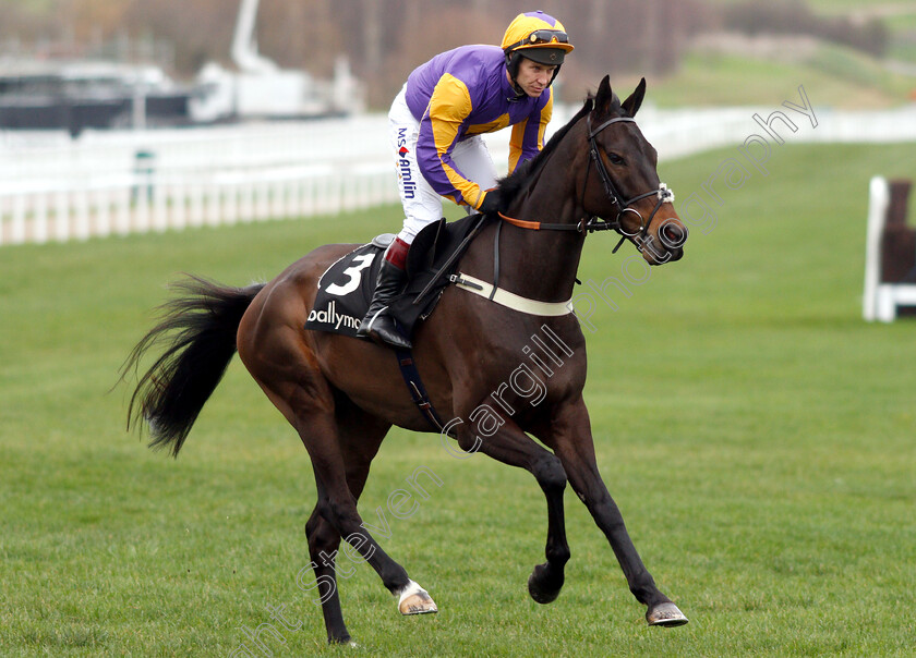 Darlac-0001 
 DARLAC (Richard Johnson)
Cheltenham 1 Jan 2019 - Pic Steven Cargill / Racingfotos.com