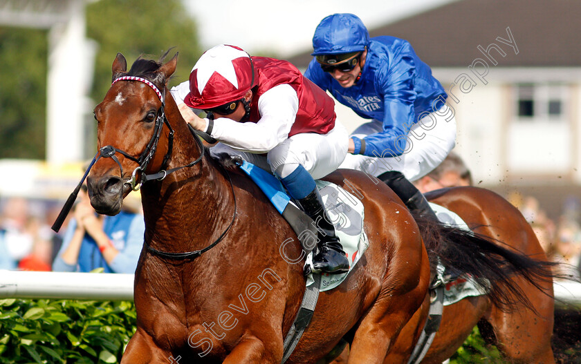 Glorious-Journey-0008 
 GLORIOUS JOURNEY (William Buick) wins The Cazoo Park Stakes
Doncaster 11 Sep 2021 - Pic Steven Cargill / Racingfotos.com