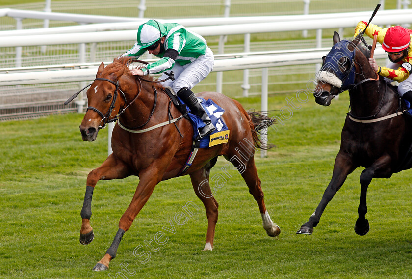 Mr-Lupton-0004 
 MR LUPTON (Paul Hanagan) wins The Churchill Tyres Handicap
York 12 May 2021 - Pic Steven Cargill / Racingfotos.com