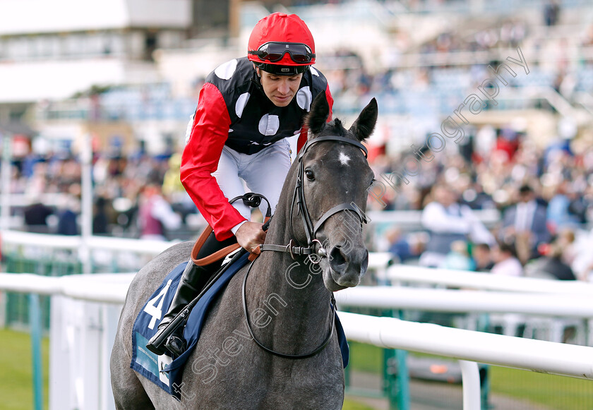 Silver-Ghost-0001 
 SILVER GHOST (Charles Bishop)
Doncaster 12 Sep 20234 - Pic Steven Cargill / Racingfotos.com