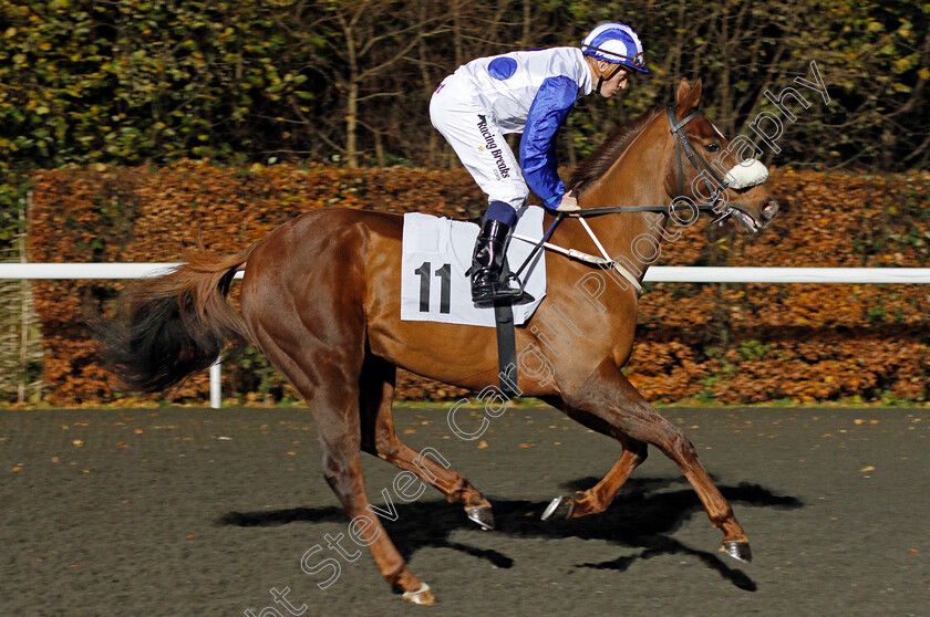 Glastonbury-Song-0001 
 GLASTONBURY SONG (Jim Crowley) Kempton 22 Nov 2017 - Pic Steven Cargill / Racingfotos.com