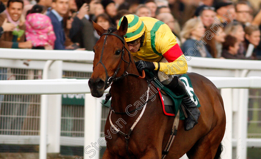 Herecomestheboom-0007 
 HERECOMESTHEBOOM (Paddy Brennan) wins The Jockey Club Venues Standard Open National Hunt Flat Race Cheltenham 28 Oct 2017 - Pic Steven Cargill / Racingfotos.com