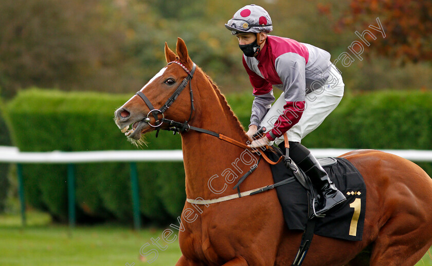 Tropics-0001 
 TROPICS (George Downing)
Nottingham 28 Oct 2020 - Pic Steven Cargill / Racingfotos.com