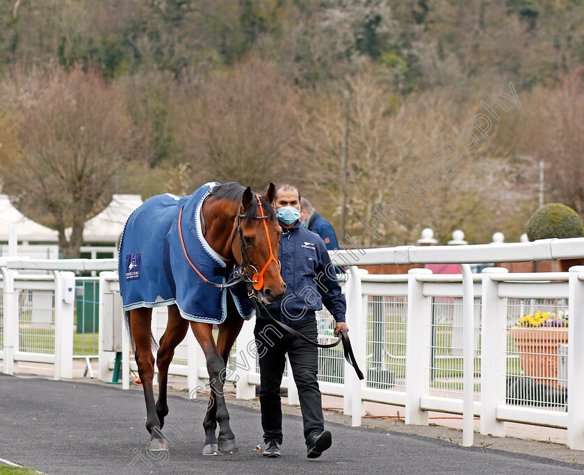 Nugget-0001 
 NUGGET 
Nottingham 7 Apr 2021 - Pic Steven Cargill / Racingfotos.com