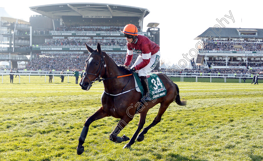 General-Principle-0001 
 GENERAL PRINCIPLE (J J Slevin)
Aintree 6 Apr 2019 - Pic Steven Cargill / Racingfotos.com