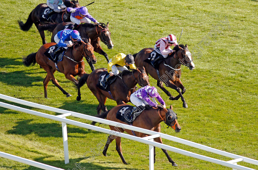 Separate-0003 
 SEPARATE (James Doyle) wins The Dubai Duty Free Nursery
Newbury 20 Spe 2019 - Pic Steven Cargill / Racingfotos.com