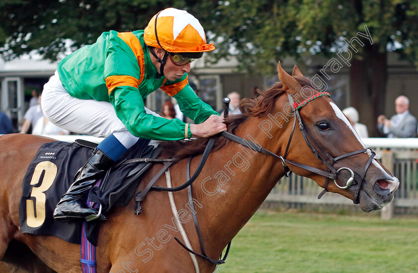 Laguna-Veneta-0006 
 LAGUNA VENETA (William Buick) wins The racingtv.com/freetrial Fillies Handicap
Newmarket 22 Jul 2022 - Pic Steven Cargill / Racingfotos.com