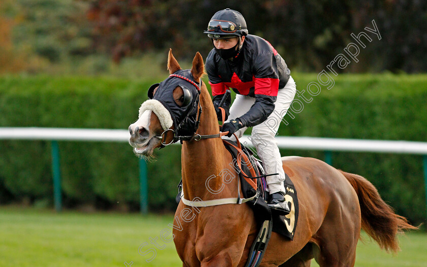 Harbour-Point-0001 
 HARBOUR POINT (Theodore Ladd)
Nottingham 14 Oct 2020 - Pic Steven Cargill / Racingfotos.com