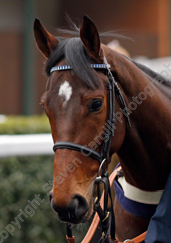 Restitution-0002 
 RESTITUTION (Tom Cannon)
Ascot 22 Jan 2022 - Pic Steven Cargill / Racingfotos.com