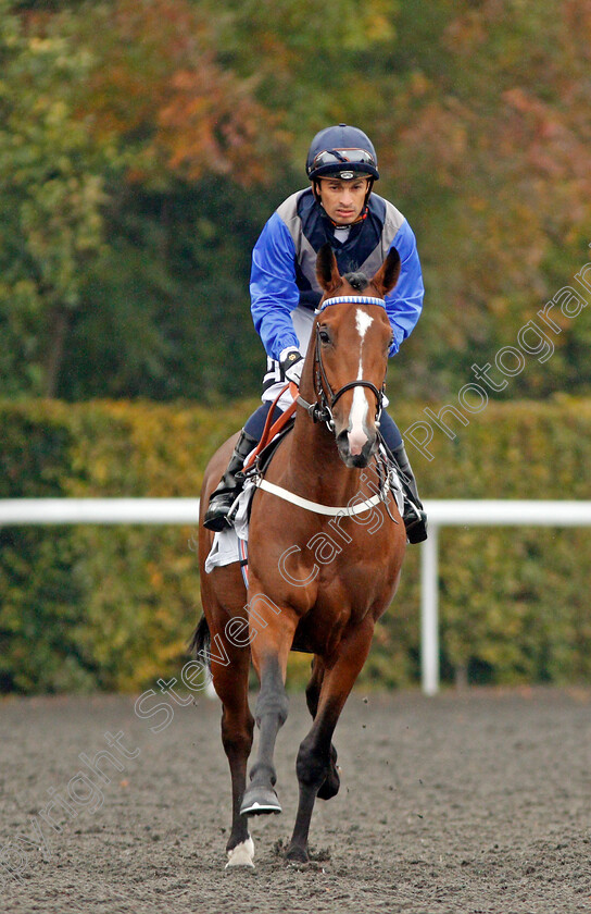 Duggary-0001 
 DUGGARY (Silvestre De Sousa) Kempton 25 Sep 2017 - Pic Steven Cargill / Racingfotos.com