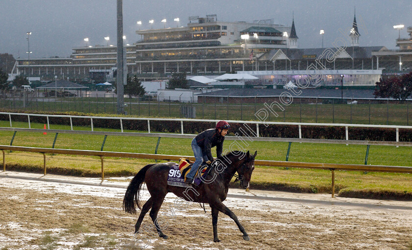 Sergei-Prokofiev-0001 
 SERGEI PROKOFIEV exercising ahead of The Breeders' Juvenile Turf Sprint
Churchill Downs USA 1 Nov 2018 - Pic Steven Cargill / Racingfotos.com