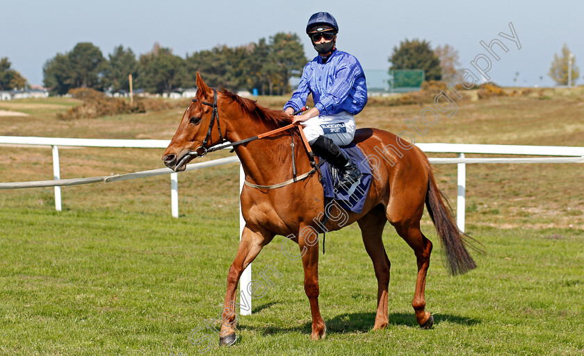 Hidden-Pearl-0001 
 HIDDEN PEARL (Thore Hammer Hansen)
Yarmouth 19 May 2021 - Pic Steven Cargill / Racingfotos.com