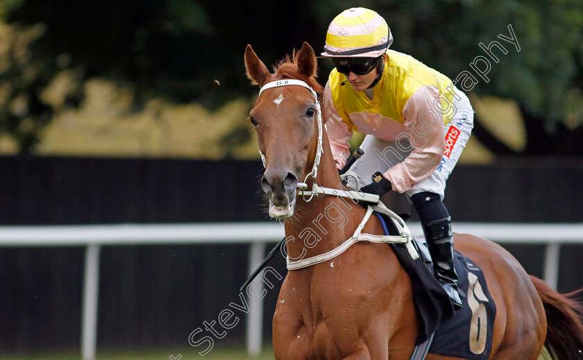 Jalea-Moon-0002 
 JALEA MOON (Hollie Doyle) winner of The Follow @racingtv On Twitter Fillies Handicap
Newmarket 29 Jul 2022 - Pic Steven Cargill / Racingfotos.com