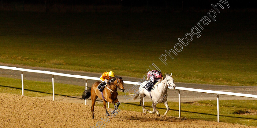 Flaming-Marvel-0003 
 FLAMING MARVEL (left, David Probert) beats ULSTER (right) in The Betway Live Casino Handicap
Wolverhampton 26 Feb 2019 - Pic Steven Cargill / Racingfotos.com