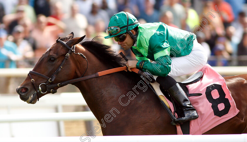 Raging-Bull-0004 
 RAGING BULL (Joel Rosario) wins The Allowance Optional Claimer
Belmont Park 8 Jun 2018 - Pic Steven Cargill / Racingfotos.com