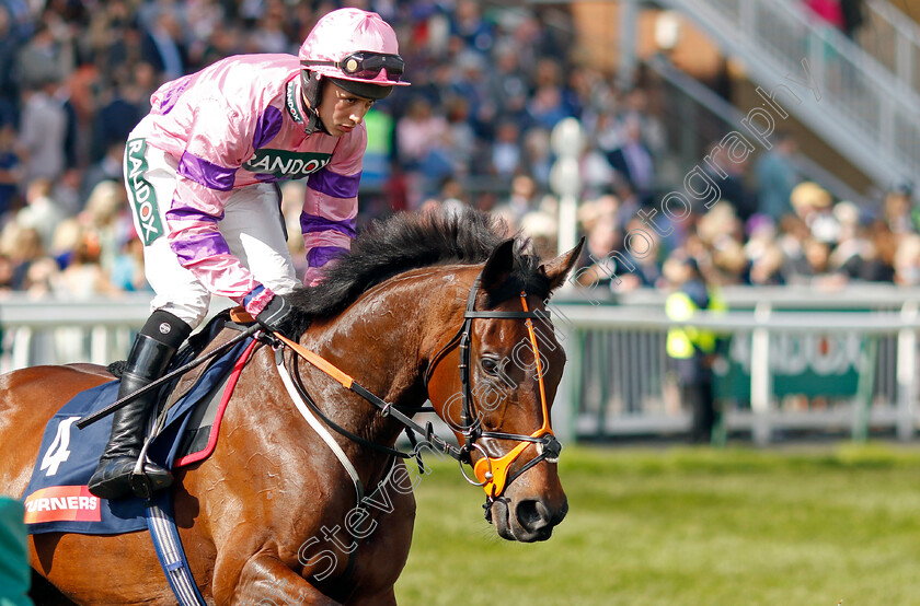 Crambo-0001 
 CRAMBO (Connor Brace)
Aintree 15 Apr 2023 - Pic Steven Cargill / Racingfotos.com