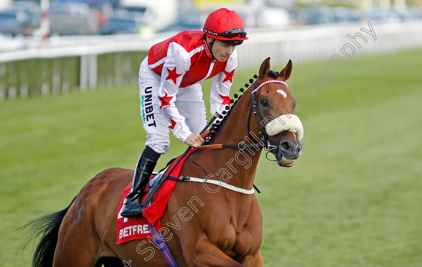 Dream-Harder-0002 
 DREAM HARDER (Jamie Spencer)
Doncaster 13 Sep 2024 - Pic Steven Cargill / Racingfotos.com