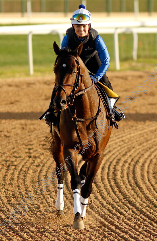 Super-Ocho-0001 
 SUPER OCHO training for The Golden Shaheen
Meydan, Dubai, 22 Mar 2023 - Pic Steven Cargill / Racingfotos.com