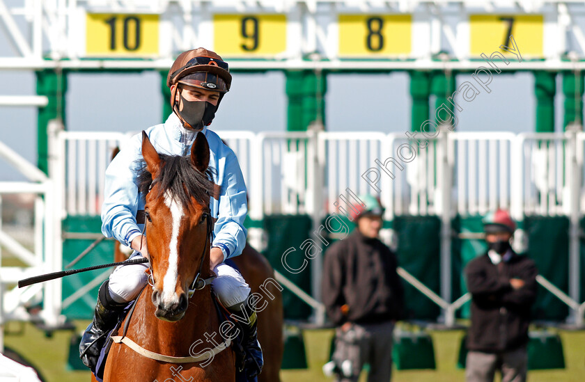 Dereham-0007 
 DEREHAM (Thore Hammer Hansen) before winning The Quinnbet 25% Back As A Free Bet Handicap Div2
Yarmouth 19 May 2021 - Pic Steven Cargill / Racingfotos.com