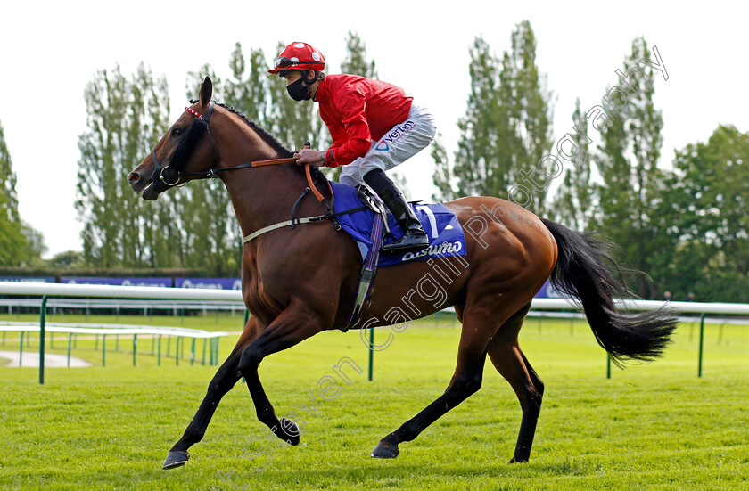 Ainsdale-0001 
 AINSDALE (Clifford Lee)
Haydock 22 May 2021 - Pic Steven Cargill / Racingfotos.com