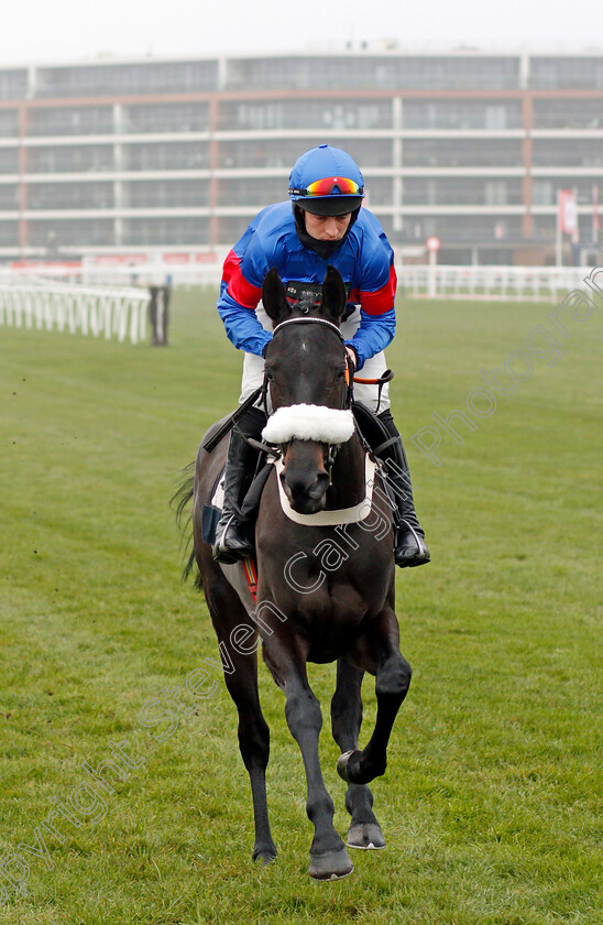 Will-Victory-0001 
 WILL VICTORY (Gavin Sheehan)
Newbury 28 Nov 2020 - Pic Steven Cargill / Racingfotos.com