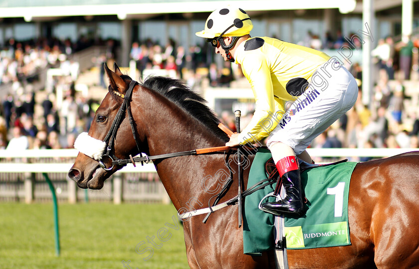 Emaraaty-Ana-0001 
 EMARAATY ANA (Andrea Atzeni)
Newmarket 29 Sep 2018 - Pic Steven Cargill / Racingfotos.com