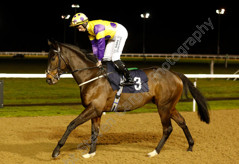 Eagle-Day-0003 
 EAGLE DAY (Rossa Ryan) winner of The Betuk Handicap
Wolverhampton 20 Dec 2024 - Pic Steven Cargill / Racingfotos.com