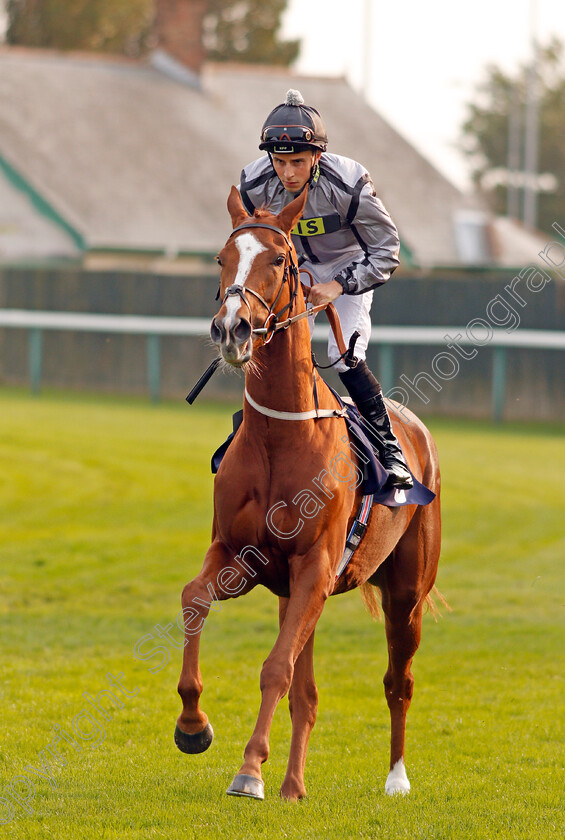 Wingingit-0001 
 WINGINGIT (William Buick) Yarmouth 16 Oct 2017 - Pic Steven Cargill / Racingfotos.com