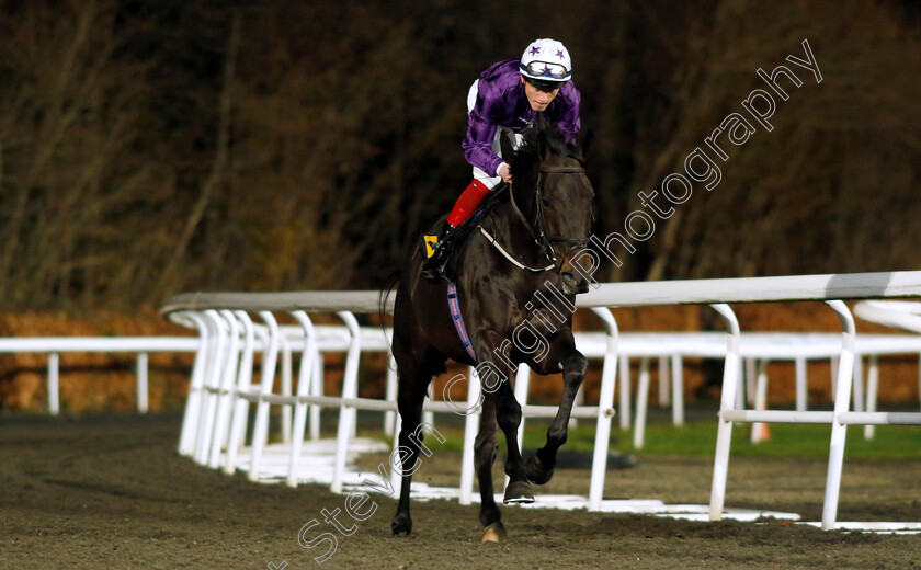 Elegant-Man-0003 
 ELEGANT MAN (David Egan)
Kempton 13 Dec 2023 - Pic Steven Cargill / Racingfotos.com