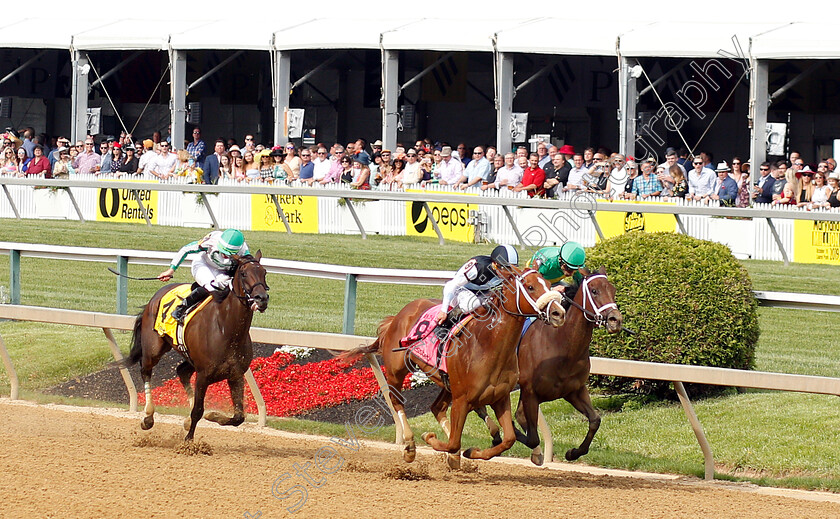 Point-Of-Honor-0001 
 POINT OF HONOR (Javier Castellano) wins The Black-Eyed Susan Stakes
Pimlico, Baltimore USA, 17 May 2019 - Pic Steven Cargill / Racingfotos.com