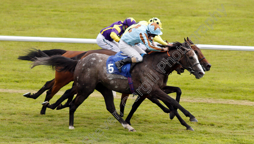 Garbanzo-0003 
 GARBANZO (Liam Keniry) wins The Get Daily Tips For Free On attheraces.com Handicap
Ffos Las 14 Aug 2018 - Pic Steven Cargill / Racingfotos.com