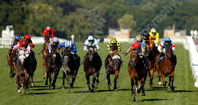 English-Oak-0006 
 ENGLISH OAK (James Doyle) wins The Buckingham Palace Stakes
Royal Ascot 20 Jun 2024 - Pic Steven Cargill / Racingfotos.com