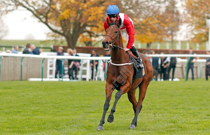 Karsavina-0004 
 KARSAVINA (Rossa Ryan) winner of The British Stallion Studs EBF Fillies Novice Stakes Div1
Newmarket 29 Oct 2022 - Pic Steven Cargill / Racingfotos.com