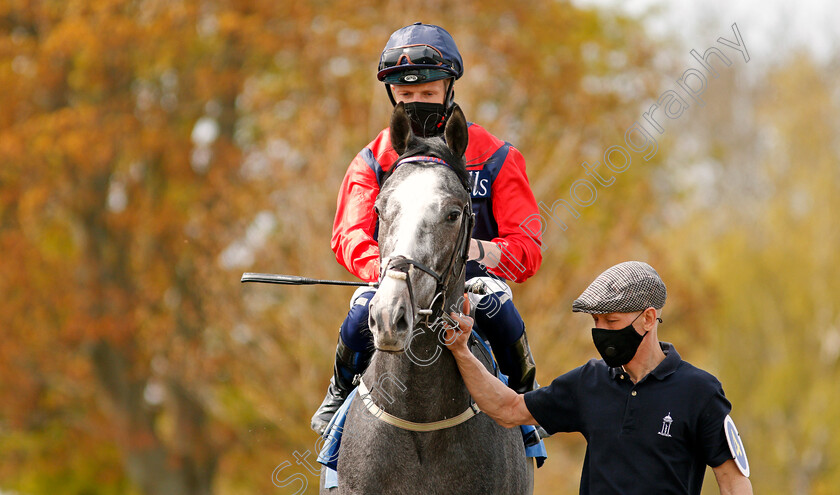 Duke-Of-Verona-0002 
 DUKE OF VERONA (David Probert)
Leicester 24 Apr 2021 - Pic Steven Cargill / Racingfotos.com