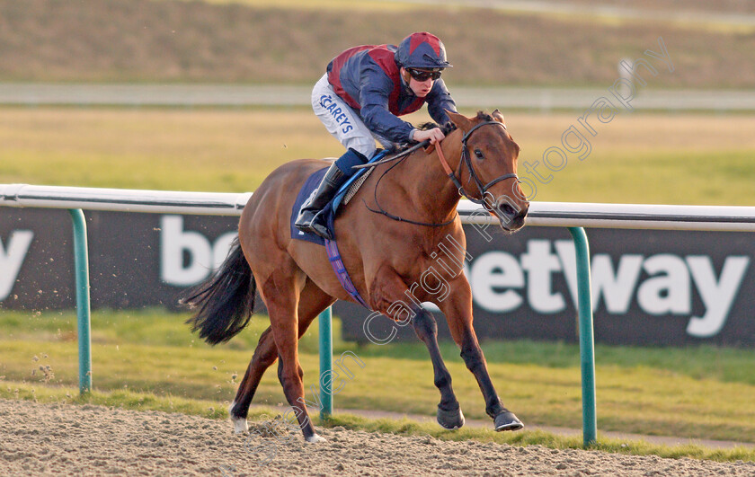 Ahorsecalledwanda-0004 
 AHORSECALLEDWANDA (Joey Haynes) wins The Ladbrokes Where The Nation Plays Fillies Novice Stakes
Lingfield 8 Feb 2020 - Pic Steven Cargill / Racingfotos.com