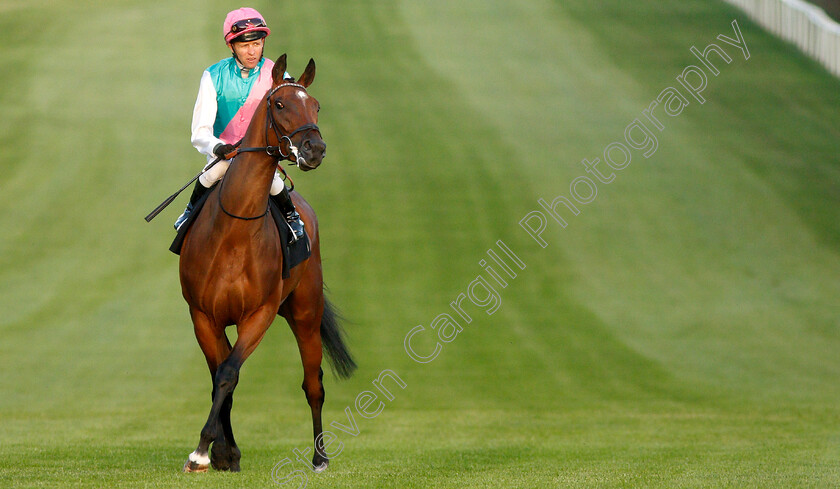 Inhale-0001 
 INHALE (Kerrin McEvoy)
Newmarket 28 Jun 2019 - Pic Steven Cargill / Racingfotos.com