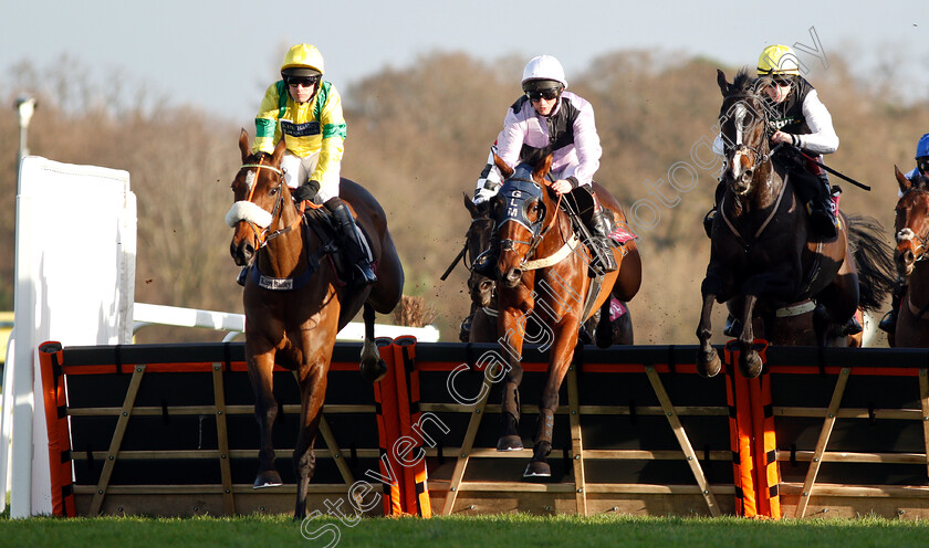 Newtide-0002 
 NEWTIDE (left, David Bass) jumps with IT'S GOT LEGS (centre) and BALLYART (right) 
Ascot 22 Dec 2018 - Pic Steven Cargill / Racingfotos.com