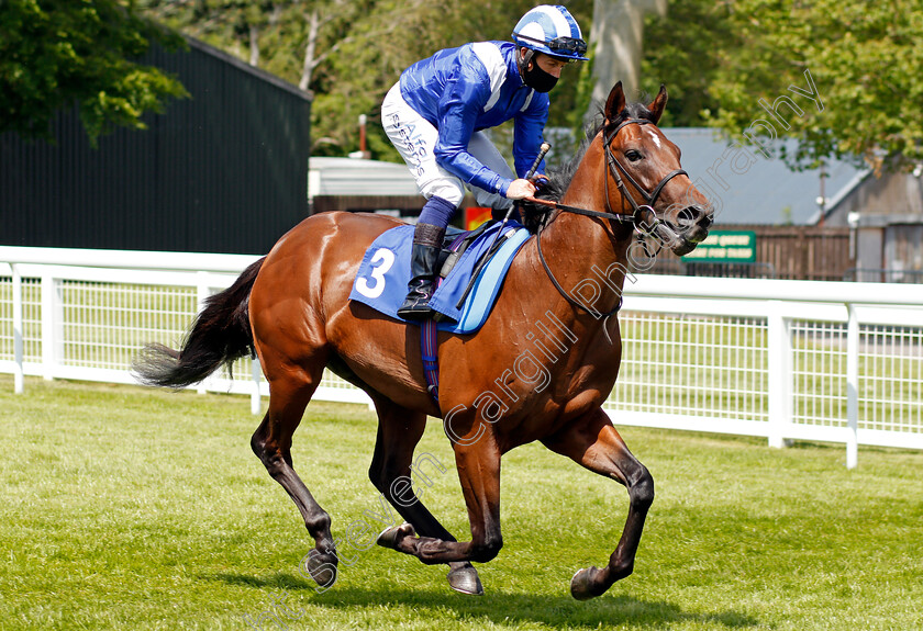 Gidwa-0002 
 GIDWA (Jim Crowley)
Salisbury 8 Jun 2021 - Pic Steven Cargill / Racingfotos.com