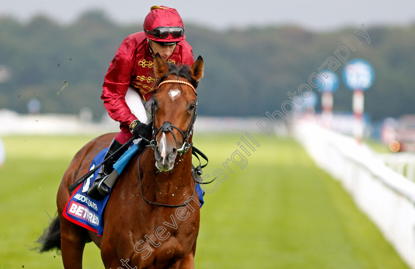 Middle-Earth-0003 
 MIDDLE EARTH (Oisin Murphy)
Doncaster 16 Sep 2023 - Pic Steven Cargill / Racingfotos.com