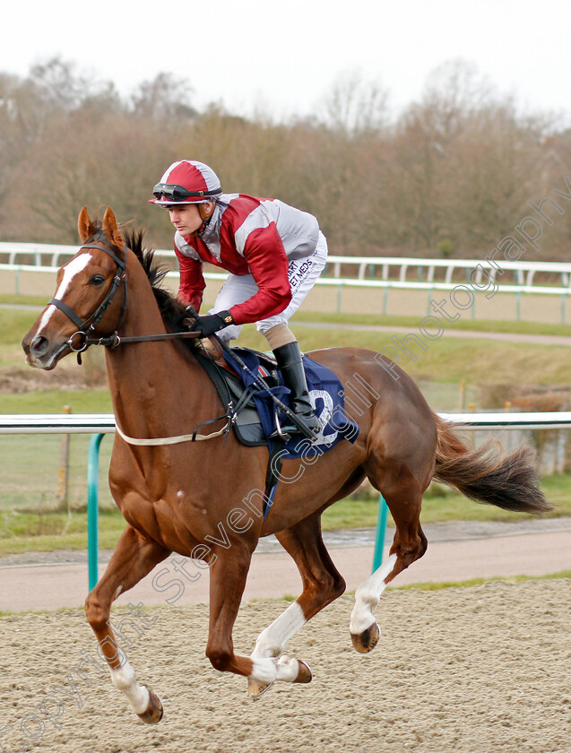 Estrela-Star-0001 
 ESTRELA STAR (Kieran O'Neill) before The Play 4 To Score At Betway Handicap
Lingfield 14 Feb 2020 - Pic Steven Cargill / Racingfotos.com