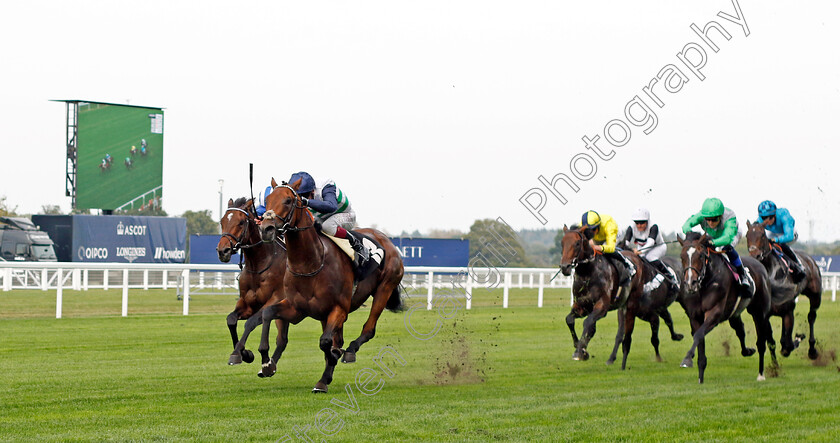 Glenfinnan-0003 
 GLENFINNAN (Oisin Murphy) wins The Bet With Ascot Classified Stakes
Ascot 8 Sep 2023 - Pic Steven Cargill / Racingfotos.com