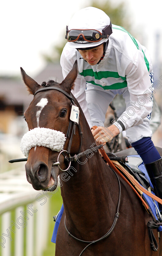 Sandrine-0001 
 SANDRINE (David Probert)
York 19 Aug 2021 - Pic Steven Cargill / Racingfotos.com