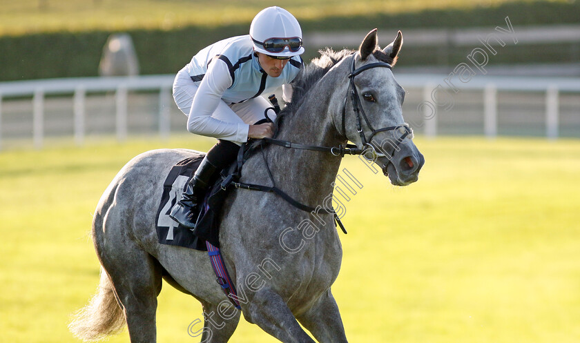 Misty-Dancer-0002 
 MISTY DANCER (Harry Burns) winner of The William Hill Pick Your Places Maiden Fillies Stakes
Goodwood 26 Aug 2022 - Pic Steven Cargill / Racingfotos.com