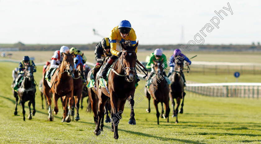 Sun-God-0003 
 SUN GOD (David Egan) wins The bet365 Old Rowley Cup Handicap
Newmarket 11 Oct 2024 - pic Steven Cargill / Racingfotos.com