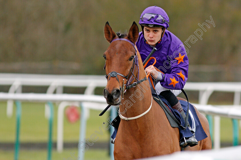 Duhr-0001 
 DUHR (Ryan Tate) Lingfield 13 Dec 2017 - Pic Steven Cargill / Racingfotos.com