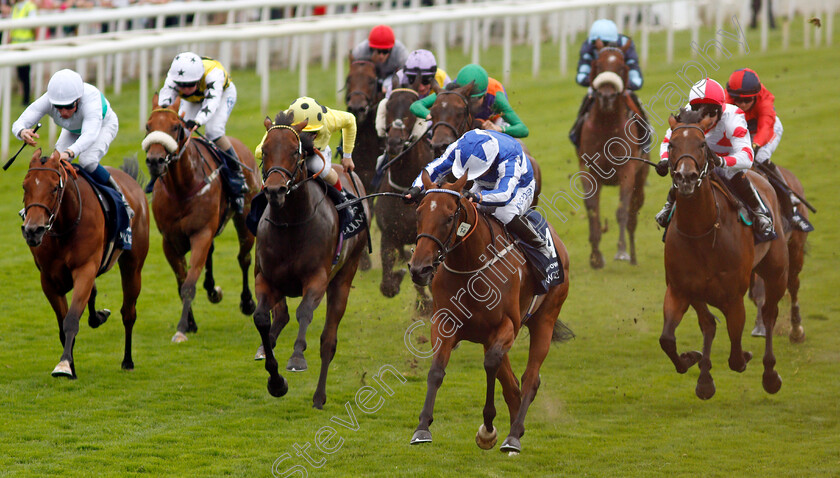 Winter-Power-0001 
 WINTER POWER (Silvestre de Sousa) wins The Coolmore Nunthorpe Stakes
York 20 Aug 2021 - Pic Steven Cargill / Racingfotos.com