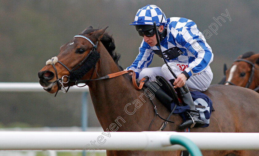 Billyoakes-0005 
 BILLYOAKES (Luke Morris) wins The Betway Sprint Handicap Lingfield 20 Dec 2017 - Pic Steven Cargill / Racingfotos.com